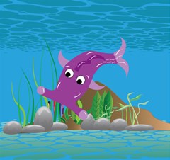 purple hammie fish