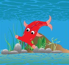 red hammie fish