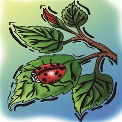 sitting ladybug