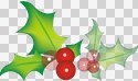 sxmas10