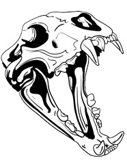 bone005