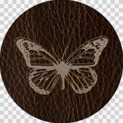 leather look butterfly