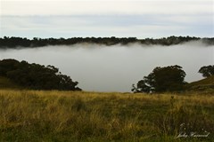 valley of cloud