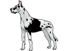 great dane