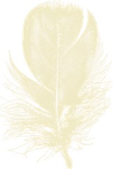 feather08 white