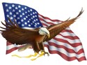 American Eagle Flag