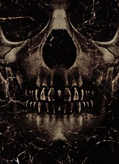 skull poster background