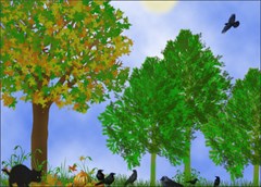 black birds