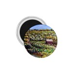 Tenant House in Summer by Ave Hurley - 1.75  Magnet