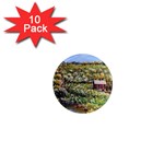 Tenant House in Summer by Ave Hurley - 1  Mini Magnet (10 pack) 