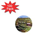 Tenant House in Summer by Ave Hurley - 1  Mini Magnet (100 pack) 