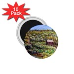 Tenant House in Summer by Ave Hurley - 1.75  Magnet (10 pack) 