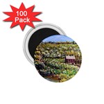 Tenant House in Summer by Ave Hurley - 1.75  Magnet (100 pack) 