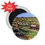Tenant House in Summer by Ave Hurley - 2.25  Magnet (100 pack) 
