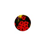  Poppies   by Ave Hurley ~ ArtRave.com 1  Mini Magnet