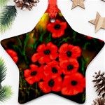  Poppies   by Ave Hurley ~ ArtRave.com Ornament (Star)
