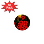 Poppies   by Ave Hurley ~ ArtRave.com 1  Mini Button (10 pack) 