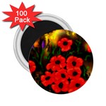  Poppies   by Ave Hurley ~ ArtRave.com 2.25  Magnet (100 pack) 