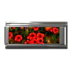  Poppies   by Ave Hurley ~ ArtRave.com Superlink Italian Charm (9mm)