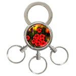  Poppies   by Ave Hurley ~ ArtRave.com 3-Ring Key Chain
