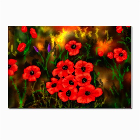  Poppies   by Ave Hurley ~ ArtRave.com Postcards 5  x 7  (Pkg of 10) from ArtsNow.com Front