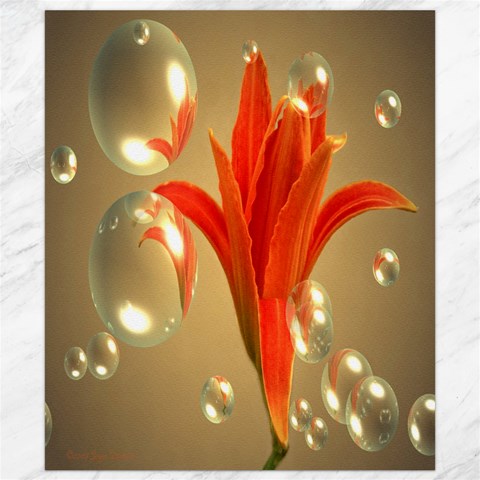 Almost A Blossom In Bubbles 8X10 Fine Art Print Canvas 8  x 10  from ArtsNow.com 8.15 x9.66  Canvas - 1
