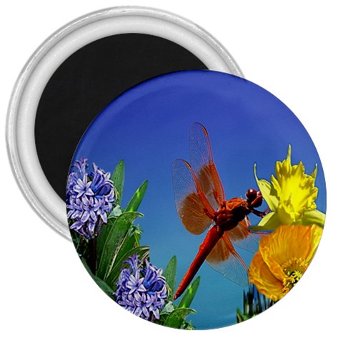 Celebrate Spring 3  Magnet from ArtsNow.com Front