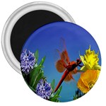 Celebrate Spring 3  Magnet