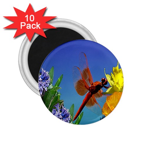 Celebrate Spring 2.25  Magnet (10 pack) from ArtsNow.com Front