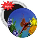 Celebrate Spring 3  Magnet (10 pack)