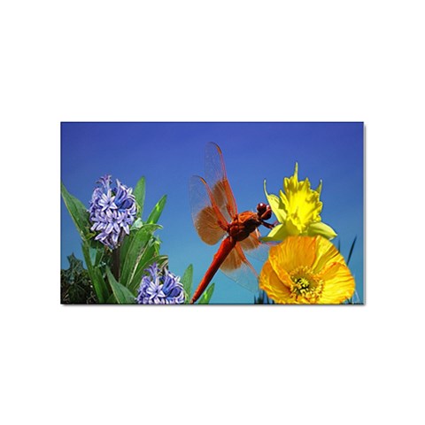 Celebrate Spring Sticker (Rectangular) from ArtsNow.com Front