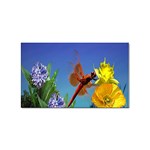 Celebrate Spring Sticker (Rectangular)