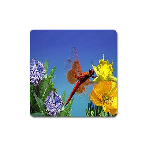 Celebrate Spring Magnet (Square) from ArtsNow.com Front