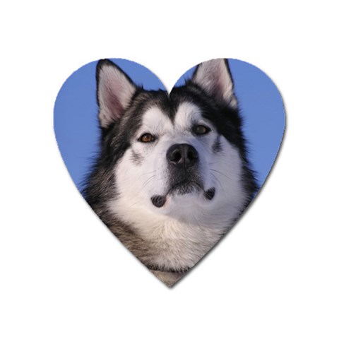 Alaskan Malamute Dog Magnet (Heart) from ArtsNow.com Front