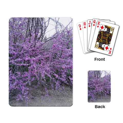 T4 Playing Cards Single Design from ArtsNow.com Back