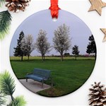 Img 20130315 080445 Ornament (Round)