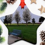 Img 20130315 080445 Ornament (Star)