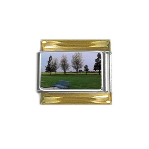 Img 20130315 080445 Gold Trim Italian Charm (9mm) from ArtsNow.com Front