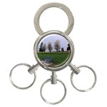 Img 20130315 080445 3-Ring Key Chain