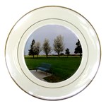 Img 20130315 080445 Porcelain Plate