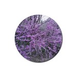 T4 Rubber Round Coaster (4 pack)