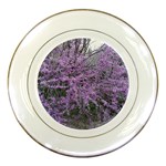 T4 Porcelain Plate