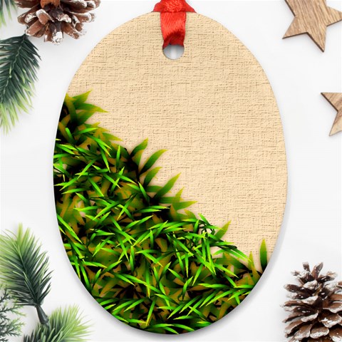 Papyrus1 Ornament (Oval) from ArtsNow.com Front