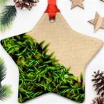 Papyrus1 Ornament (Star)