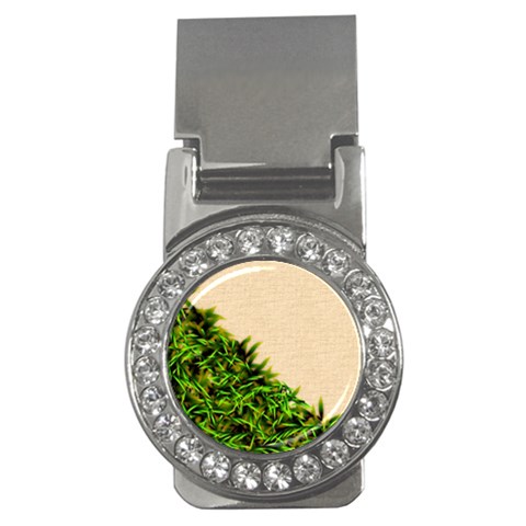 Papyrus1 Money Clip (CZ) from ArtsNow.com Front