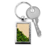 Papyrus1 Key Chain (Rectangle)