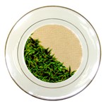 Papyrus1 Porcelain Plate