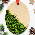 Papyrus1 Oval Ornament (Two Sides)