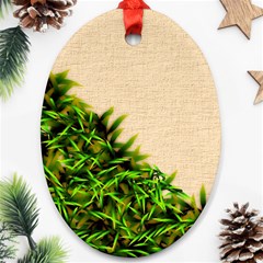 Papyrus1 Oval Ornament (Two Sides) from ArtsNow.com Back