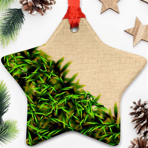 Papyrus1 Star Ornament (Two Sides) from ArtsNow.com Back